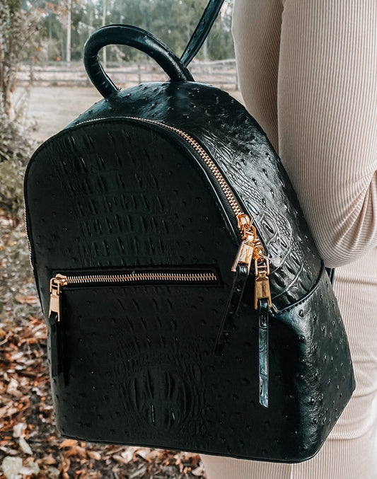 Black Gator Backpack